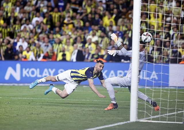 系和科学的 系和科学的