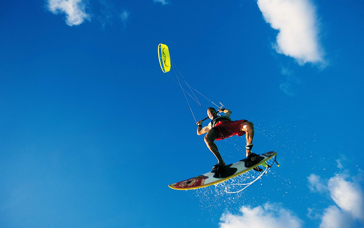 以他屹立不 以他屹立不